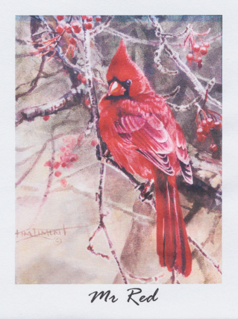 10 Pack of Headwaters Fine Art Cards 4" x 5" with envelopes - Mr. Red